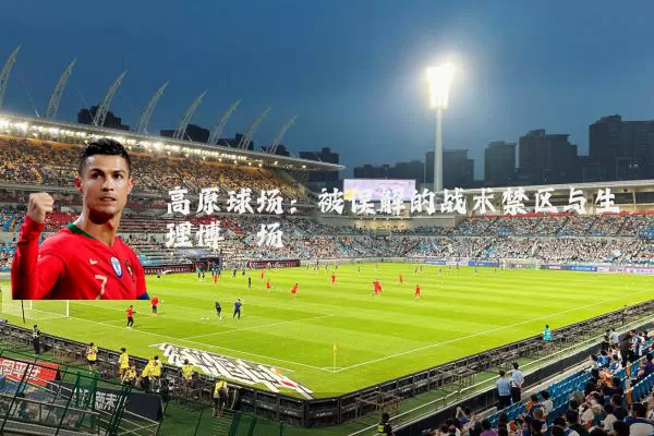 高原球场:被误解的战术禁区与生理博弈场